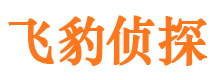 黎平市调查公司